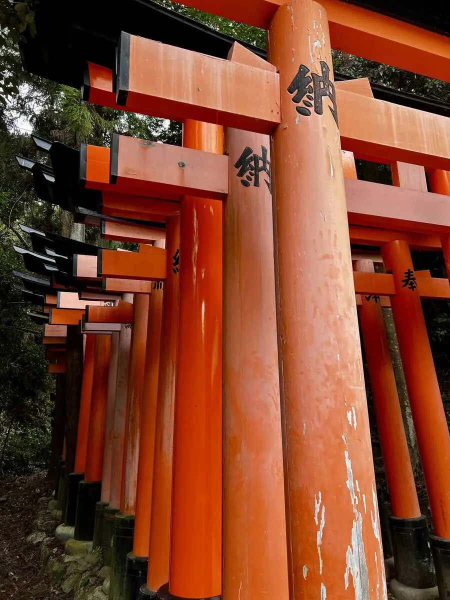 Fushimi Inari torii gates