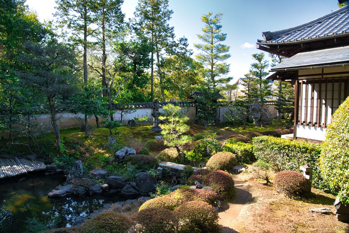 Traditional Japanese tea garden with manicured grounds